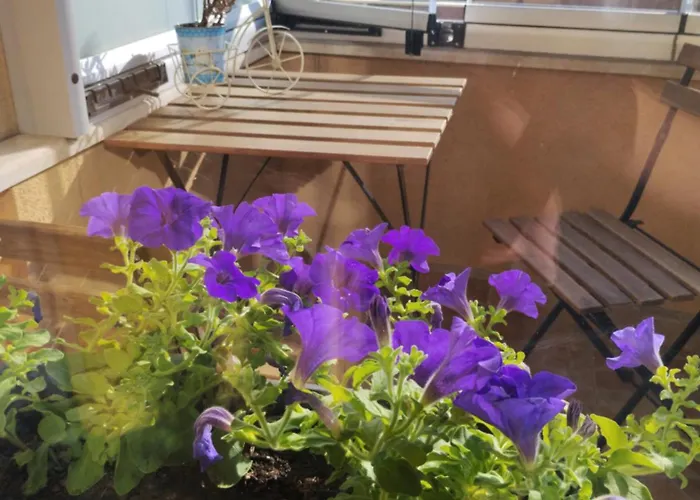 Happy Apartment&free Breakfast - Mladost Sofía