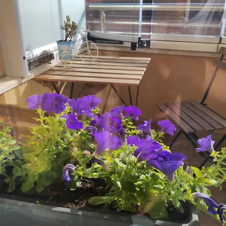 Happy & Free Breakfast - Mladost 索菲亞